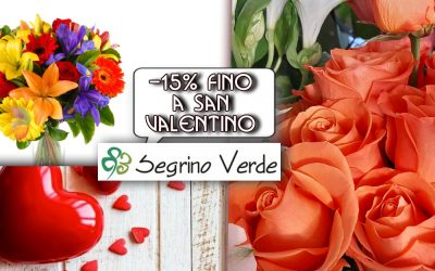 Acquista i tuoi Fiori fino a San Valentino con un Bonus Speciale