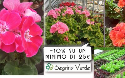 I Colori stupendi dei fiori di Maggio e Giugno