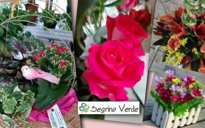 Coupon del 15% su Acquisto Piante Bouquet o Confezioni Regalo