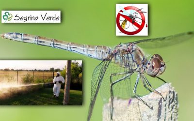 Stop alle Zanzare nel tuo Giardino