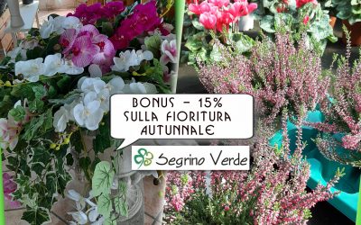 Bonus Speciale sulle Fioriture Autunnali -15%