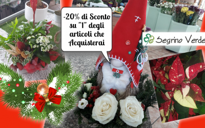 I tuoi Acquisti di Natale con un Grande Coupon
