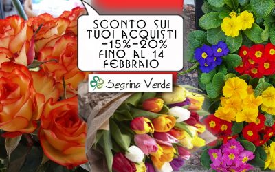 Special Promo: -15%-20% fino a San Valentino